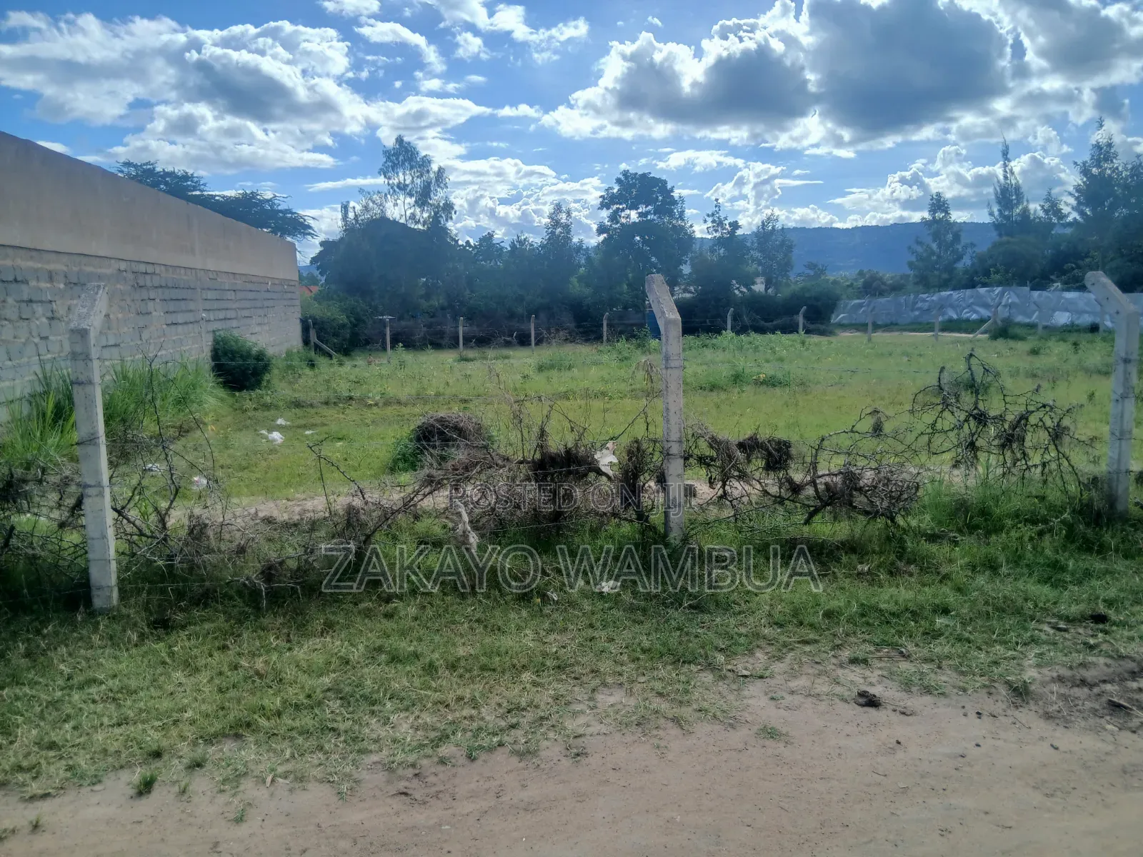 100ft×100ft (0.09 Hectares or 100by 100) Plot