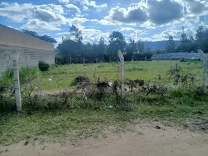 100ft×100ft (0.09 Hectares or 100by 100) Plot