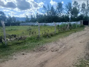 100ft×100ft (0.09 Hectares or 100by 100) Plot