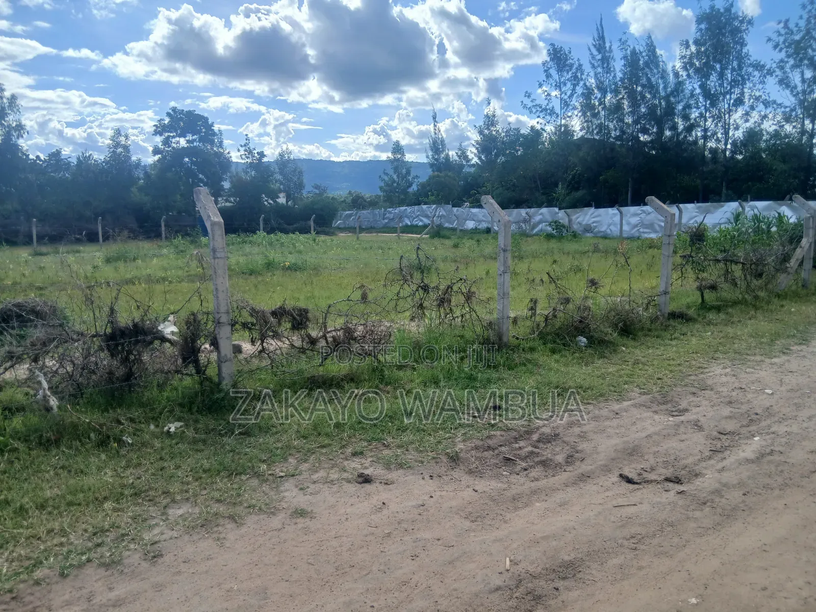 100ft×100ft (0.09 Hectares or 100by 100) Plot