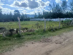 100ft×100ft (0.09 Hectares or 100by 100) Plot