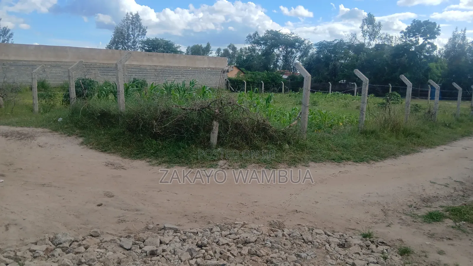 100ft×100ft (0.09 Hectares or 100by 100) Plot