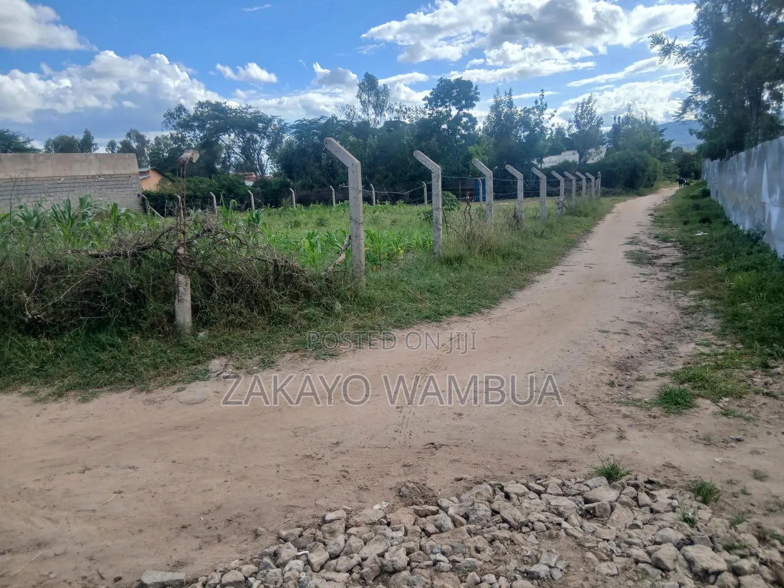 100ft×100ft (0.09 Hectares or 100by 100) Plot