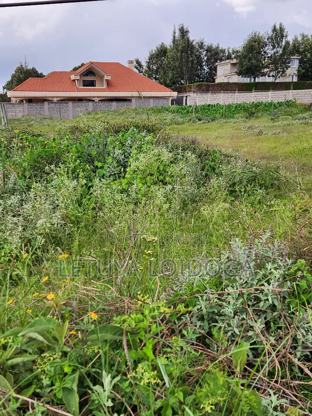 Prime 1⁄4 Acre Plots Ngong-Kibiko