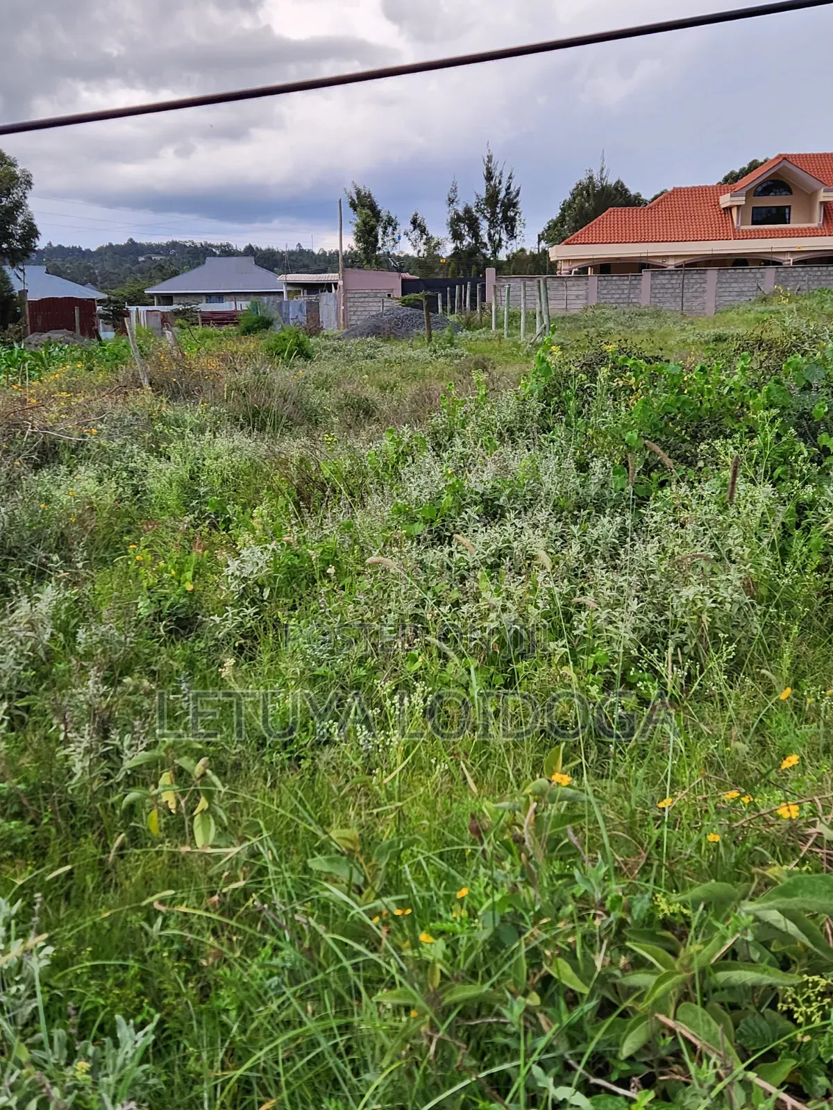 Prime 1⁄4 Acre Plots Ngong-Kibiko