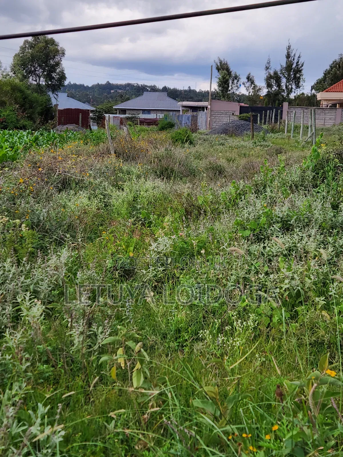 Prime 1⁄4 Acre Plots Ngong-Kibiko