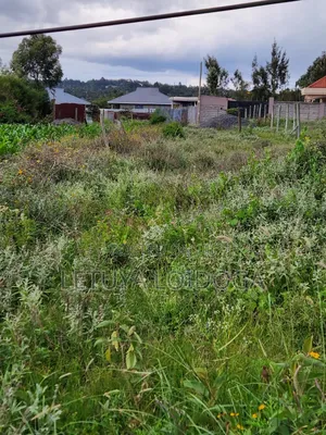Prime 1⁄4 Acre Plots Ngong-Kibiko