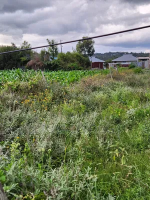 Prime 1⁄4 Acre Plots Ngong-Kibiko