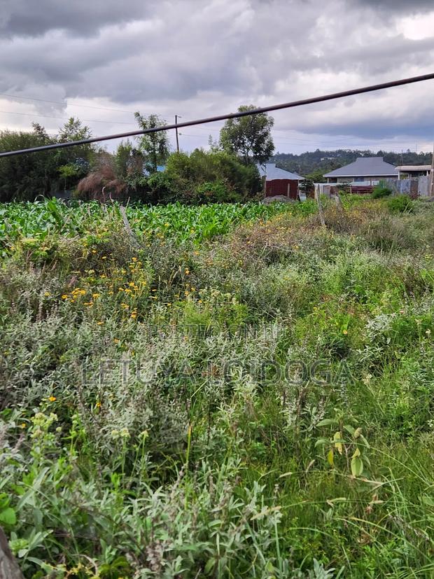 Prime 1⁄4 Acre Plots Ngong-Kibiko - thumbnail 4
