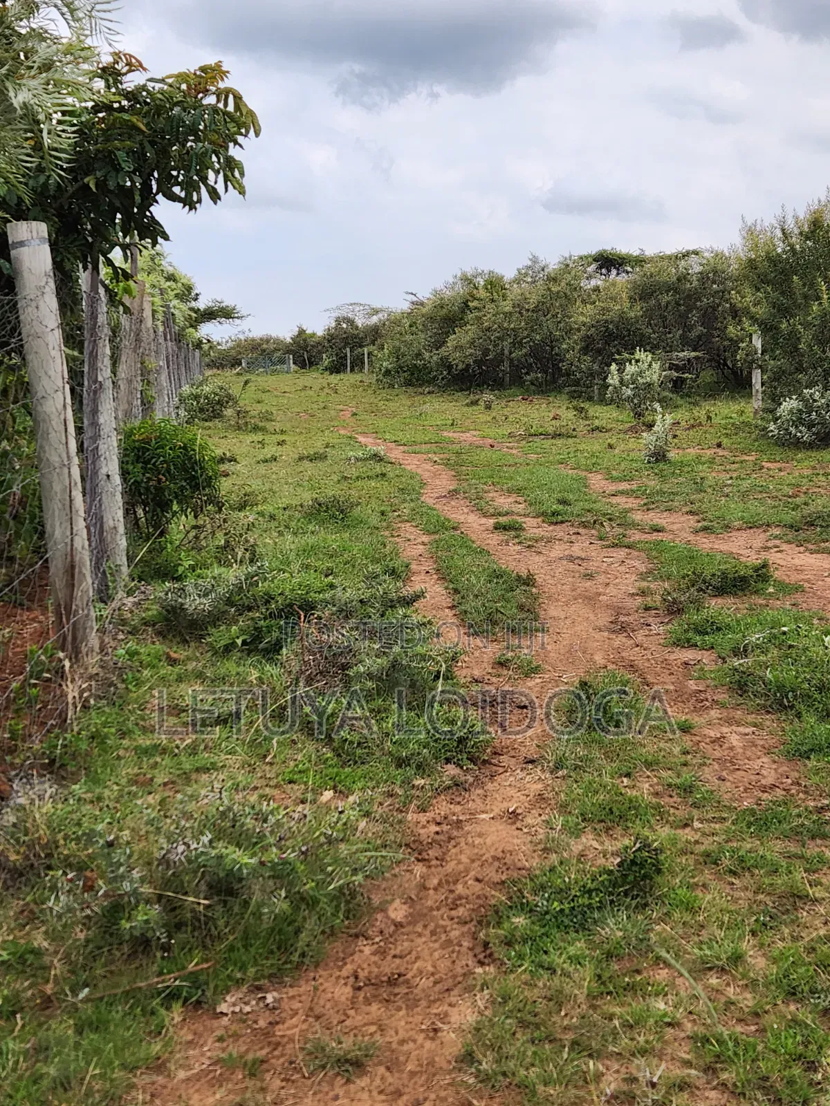 20 Acres Ngong-Kimuka