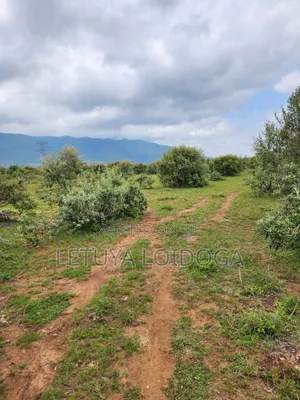 20 Acres Ngong-Kimuka