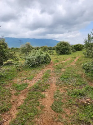 20 Acres Ngong-Kimuka