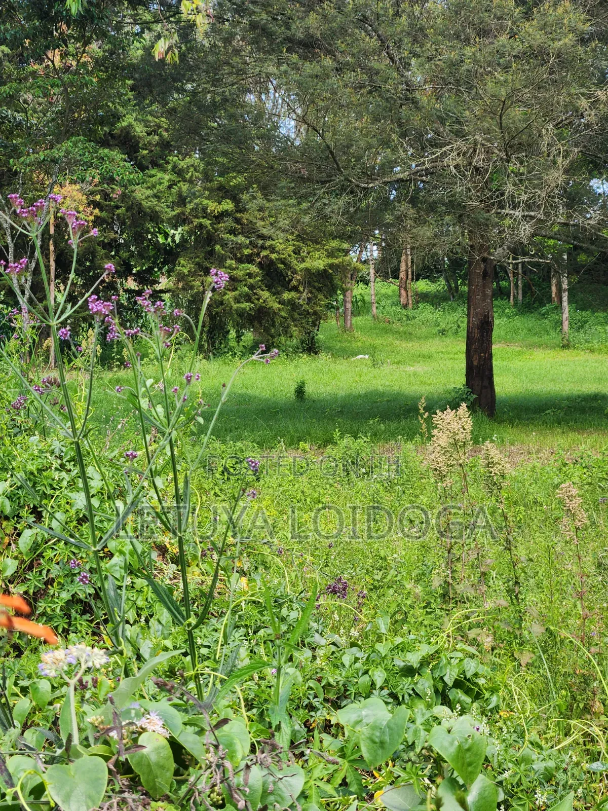 Prime 3 Acres Ngong-Kahara