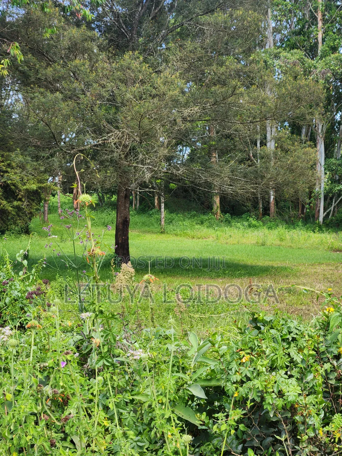 Prime 3 Acres Ngong-Kahara