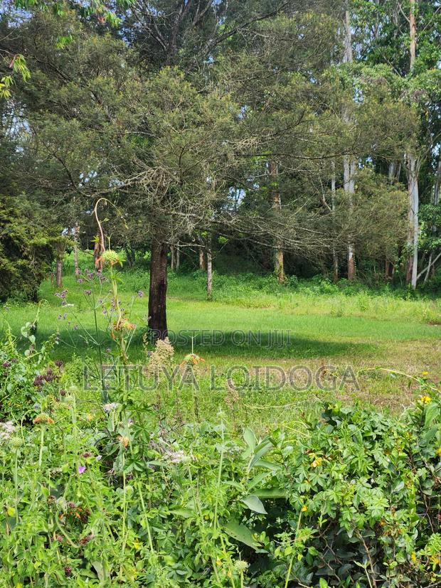 Prime 3 Acres Ngong-Kahara - thumbnail 4