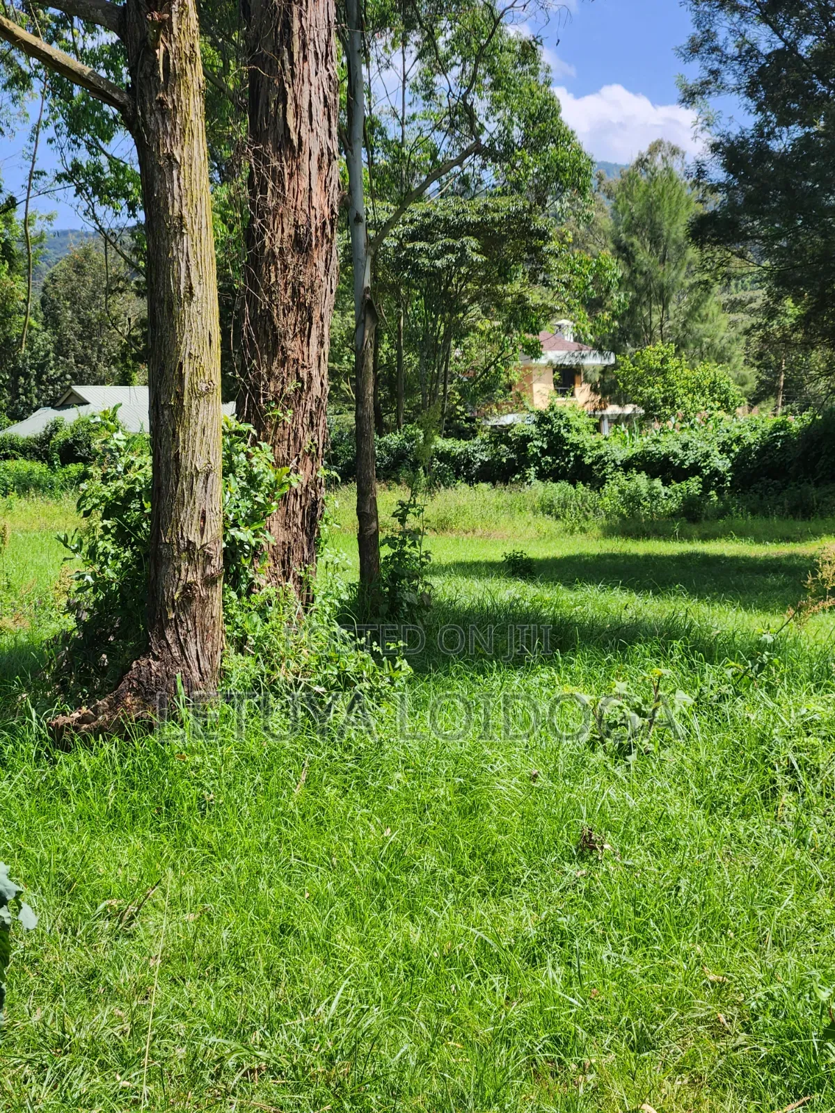 Prime 3 Acres Ngong-Kahara