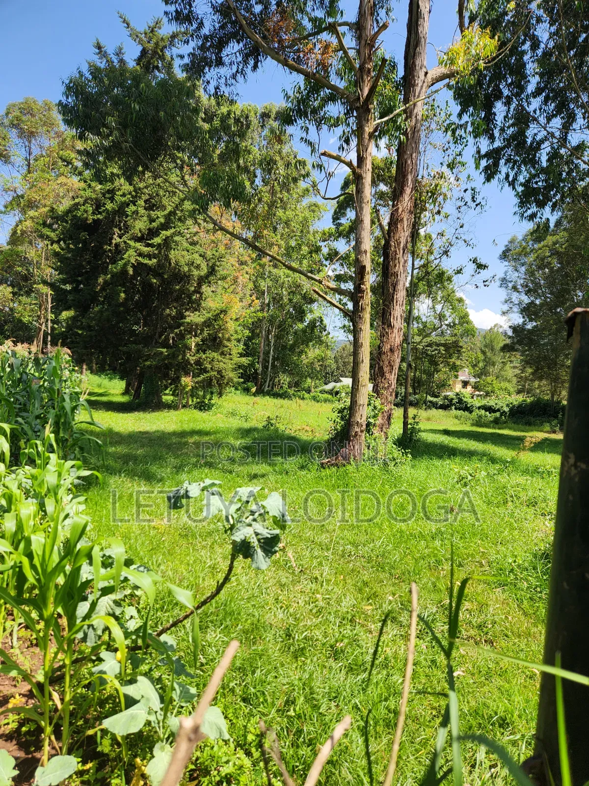 Prime 3 Acres Ngong-Kahara