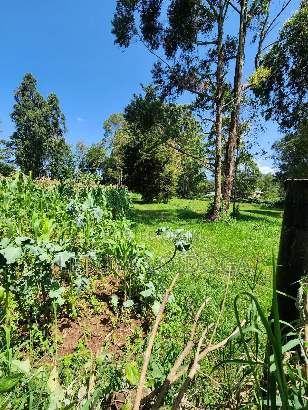 Prime 3 Acres Ngong-Kahara