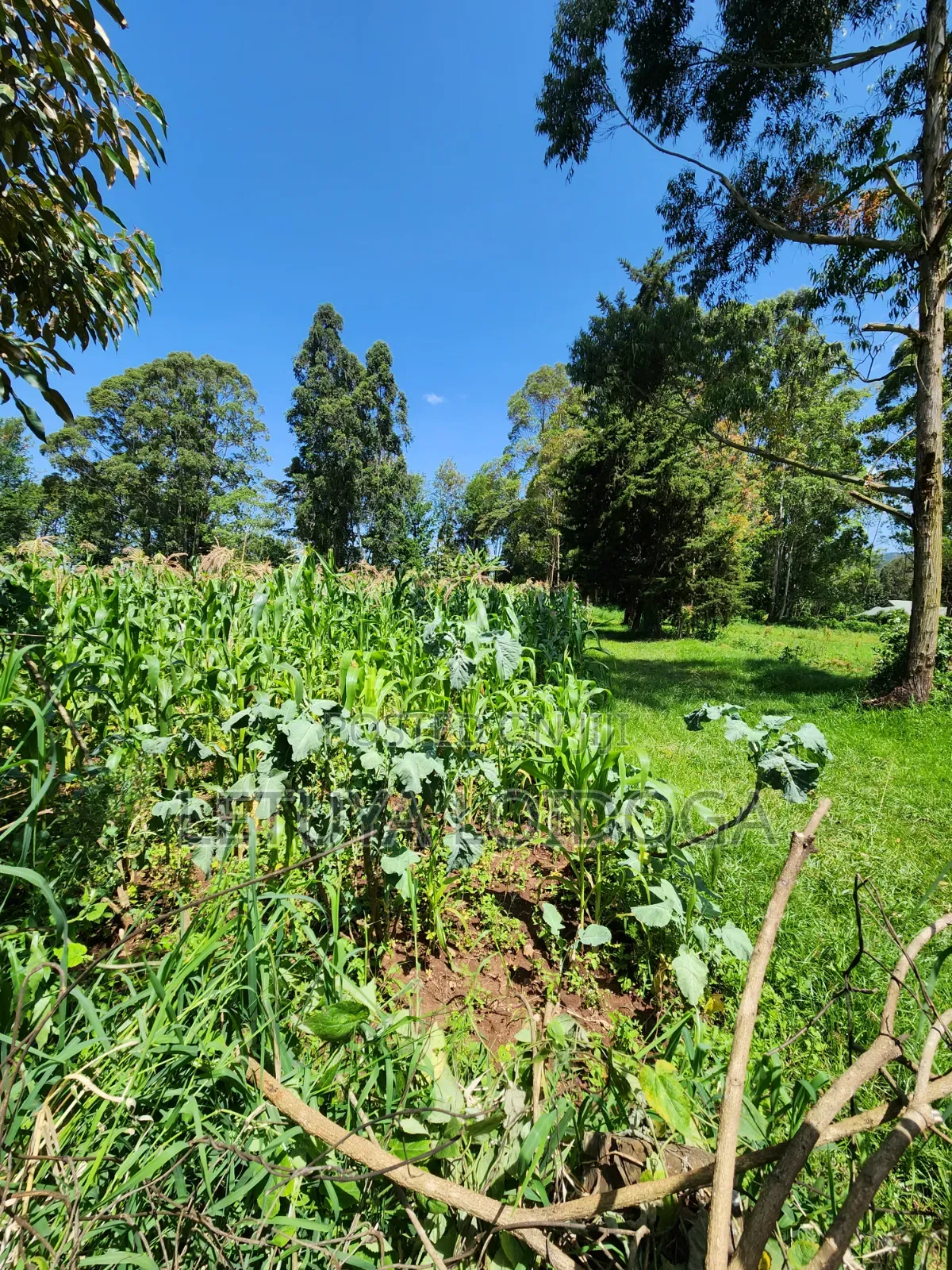 Prime 3 Acres Ngong-Kahara