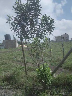 50by100 Land For Sale In Kitengela With Ready Title