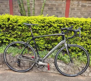 Trek Domane 4.3 Road Bike