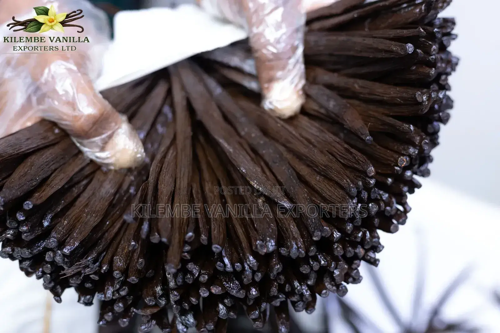 Vanilla Beans