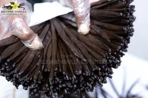 Vanilla Beans