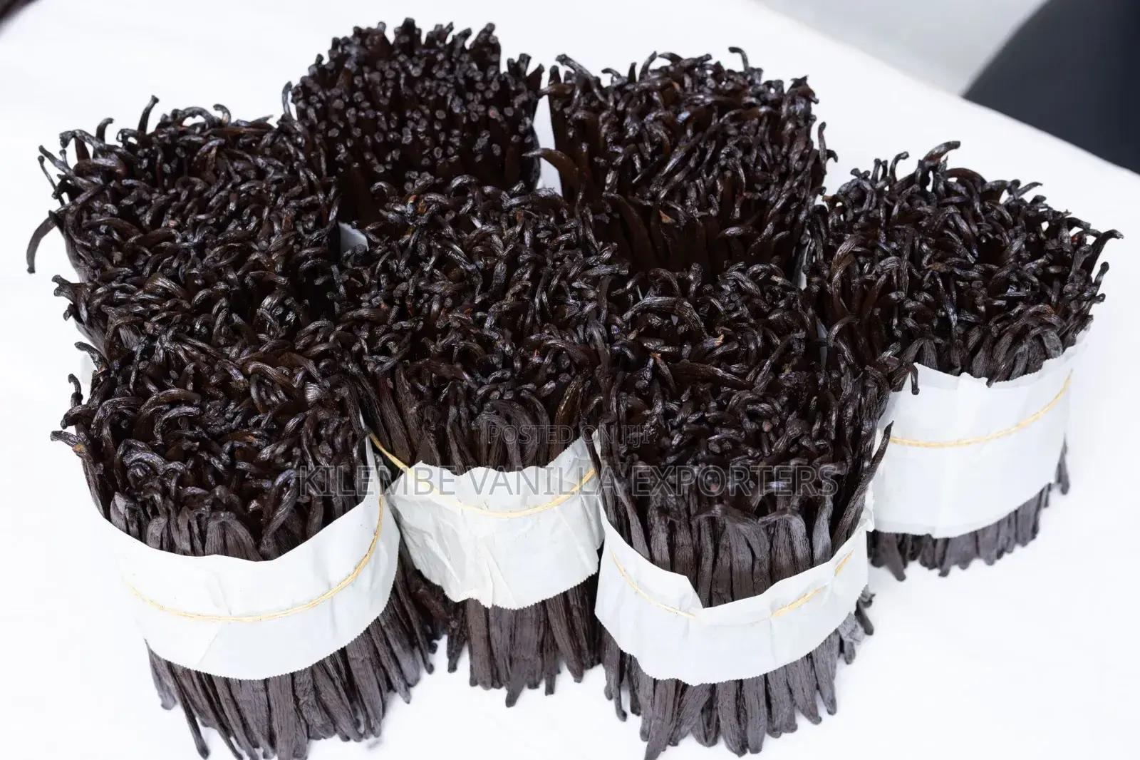 Vanilla Beans