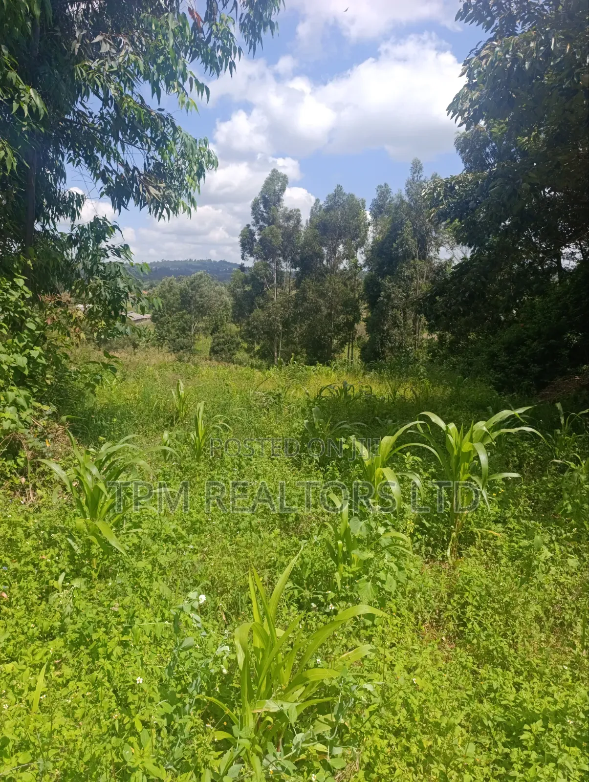 One Acre in Kikuyu
