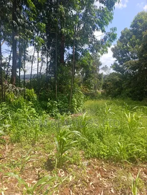 One Acre in Kikuyu