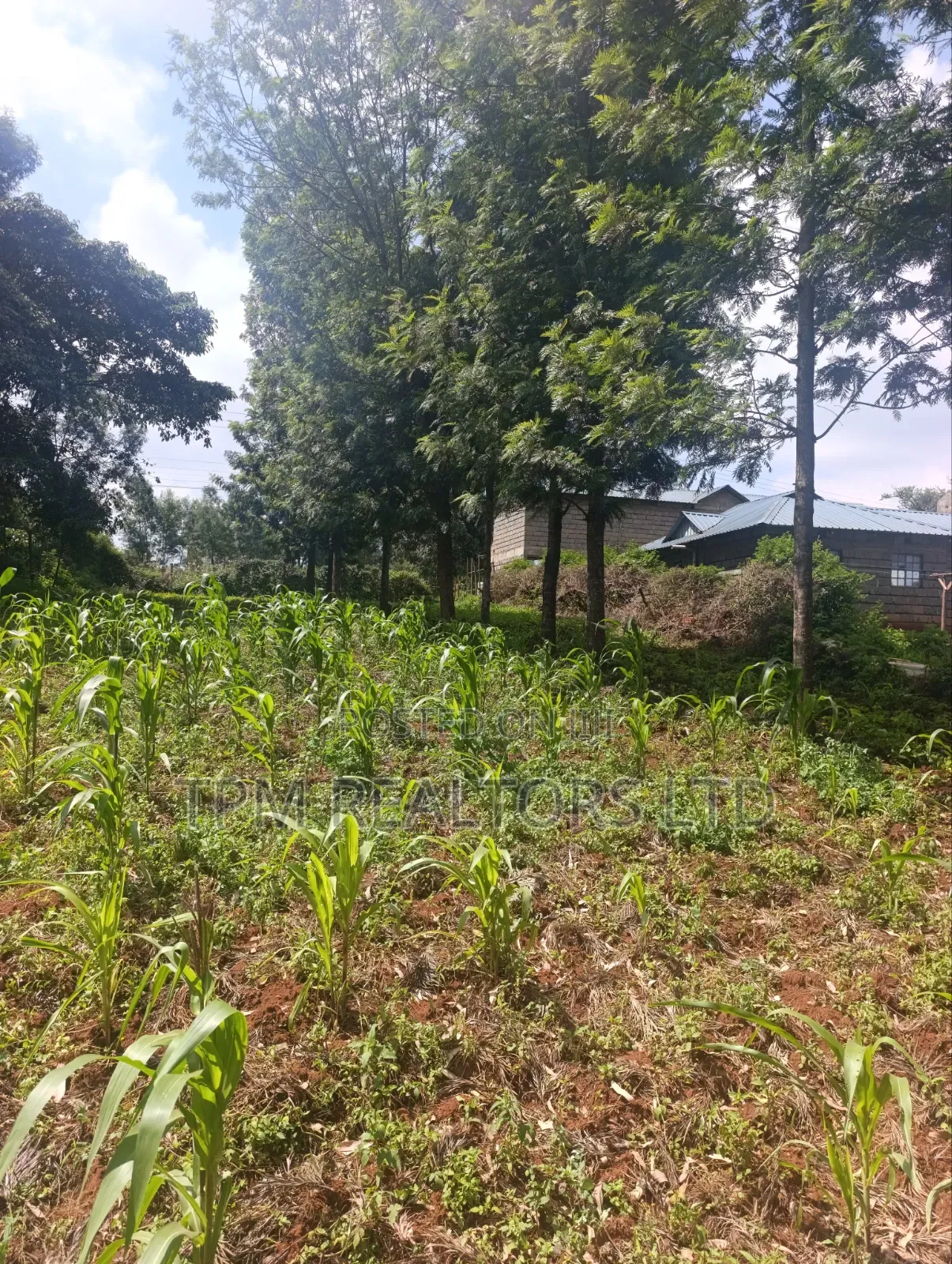 One Acre in Kikuyu