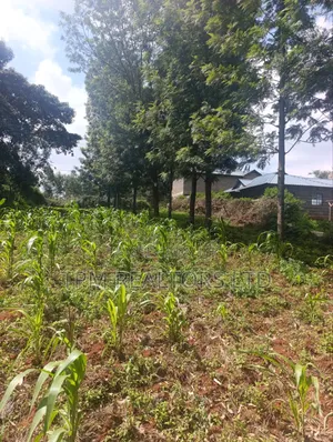 One Acre in Kikuyu