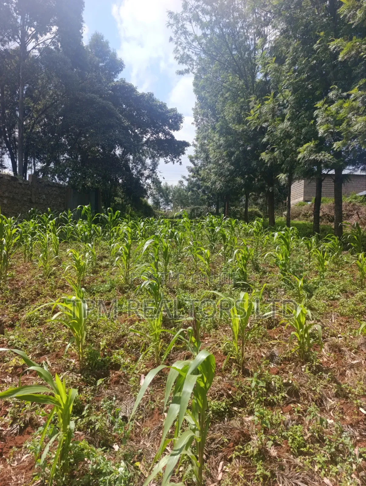 One Acre in Kikuyu
