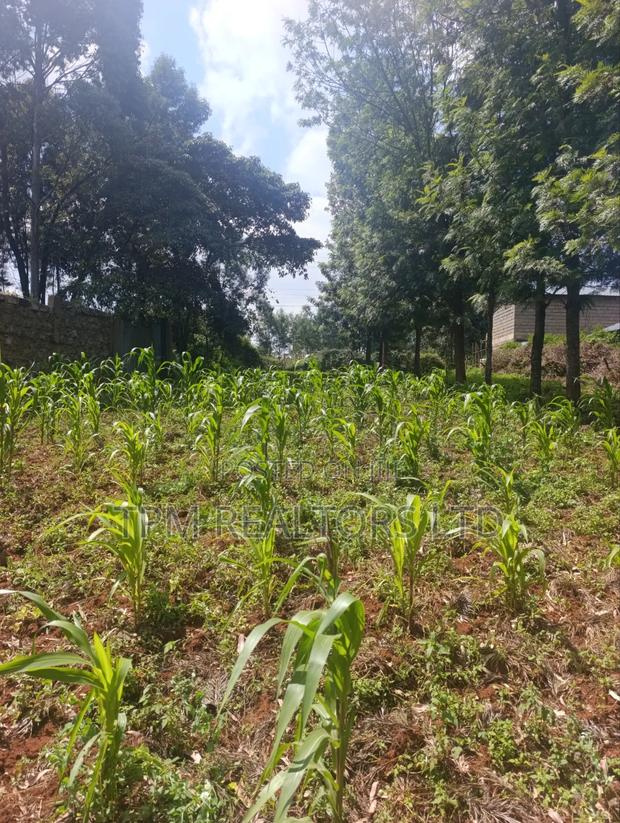 One Acre in Kikuyu - thumbnail 4