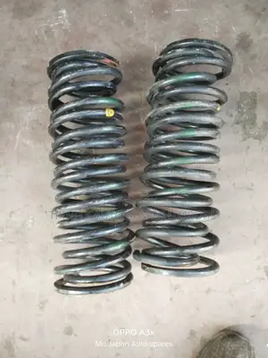 Original Ex Japan Toyota Corolla Fielder New Model Heavy Duty Coils