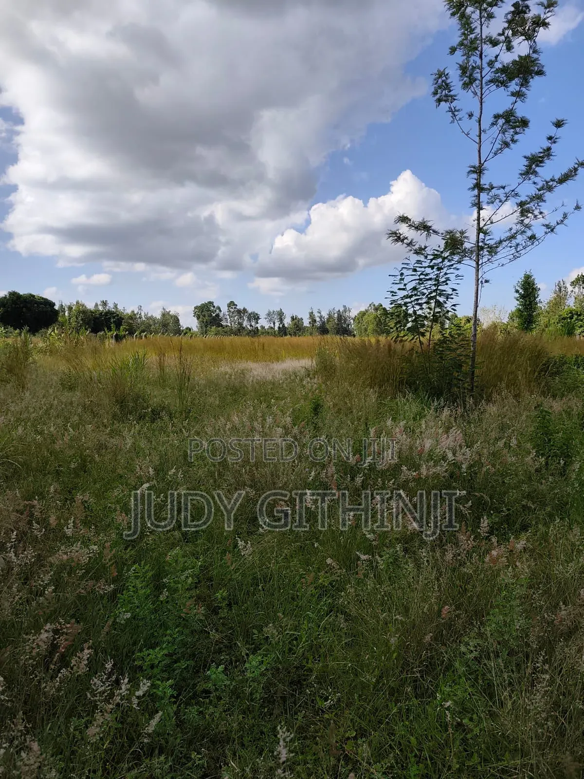 4.5 Acres at Kenol Kabati