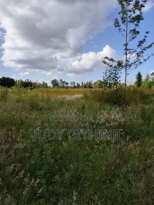 4.5 Acres at Kenol Kabati