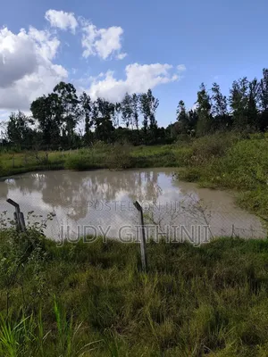 4.5 Acres at Kenol Kabati