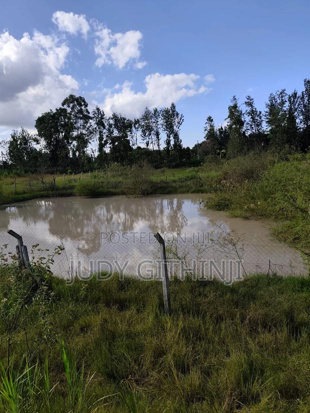 4.5 Acres at Kenol Kabati - thumbnail 4