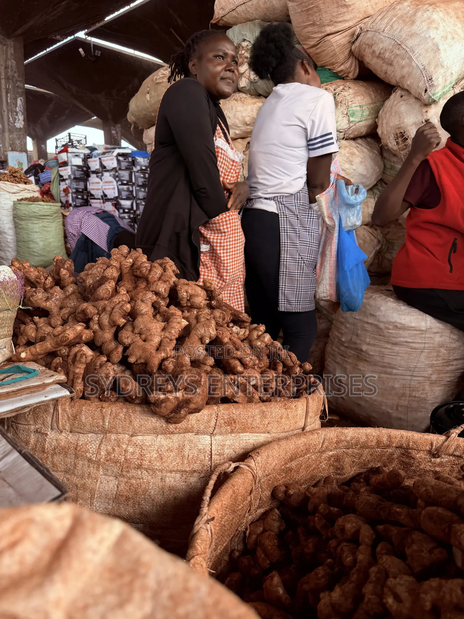 Fresh Ginger Products