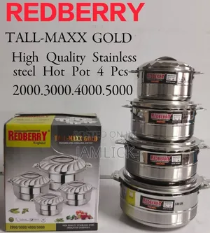 Set of 4 Stainless Steel Hotpots - Js