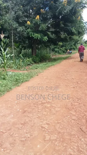 1.5acre Land for Sale in Kambirwa Loc20
