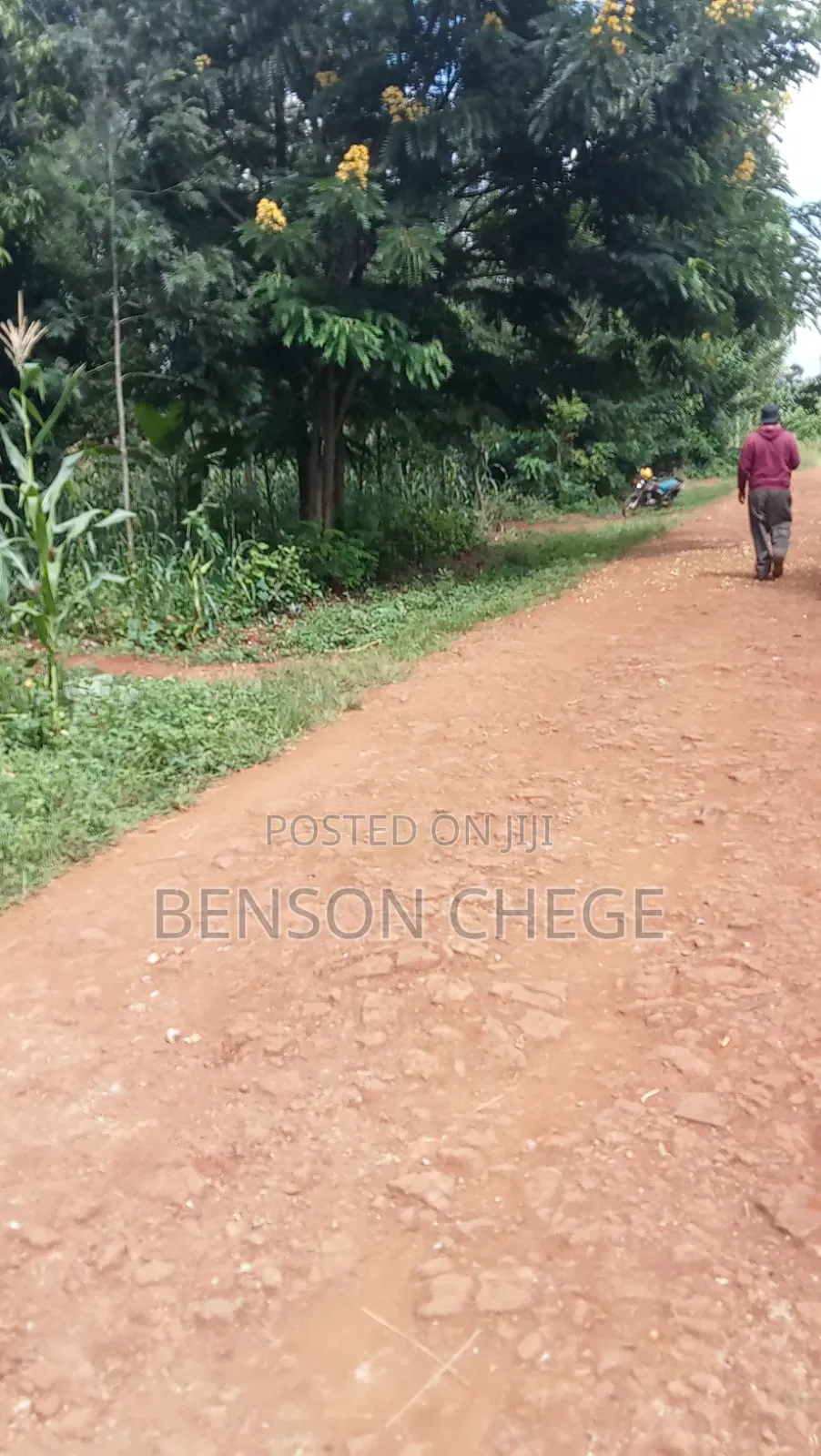 1.5acre Land for Sale in Kambirwa Loc20