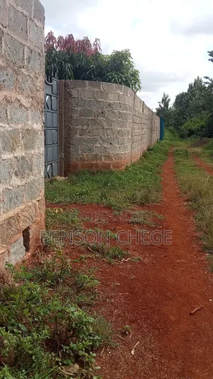 100by100plot for Sale at Kambirwa Murang'A