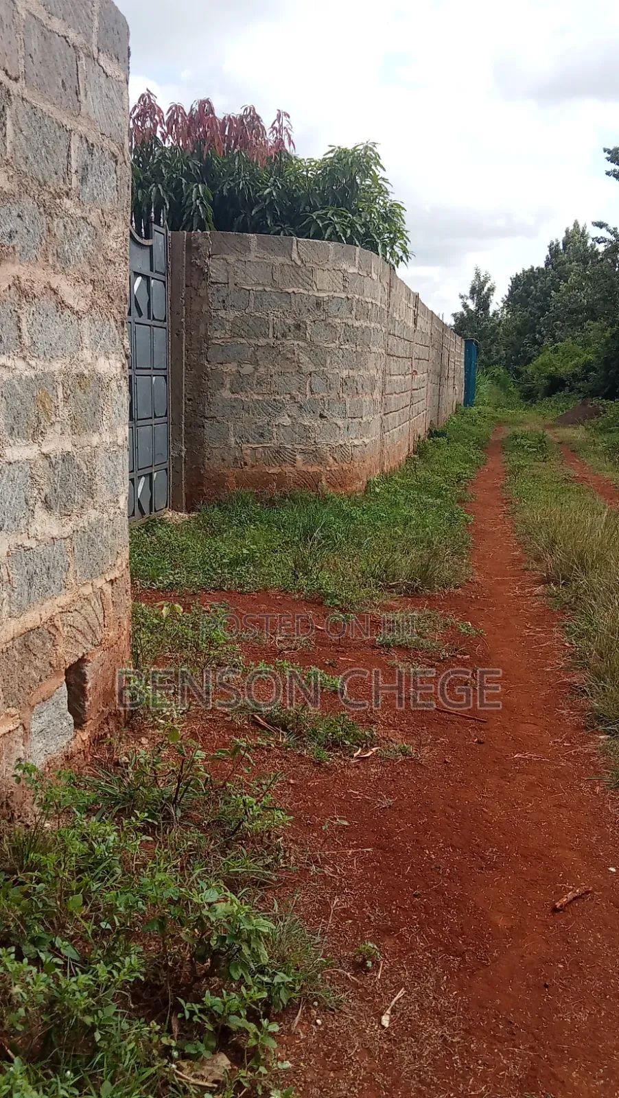 100by100plot for Sale at Kambirwa Murang'A