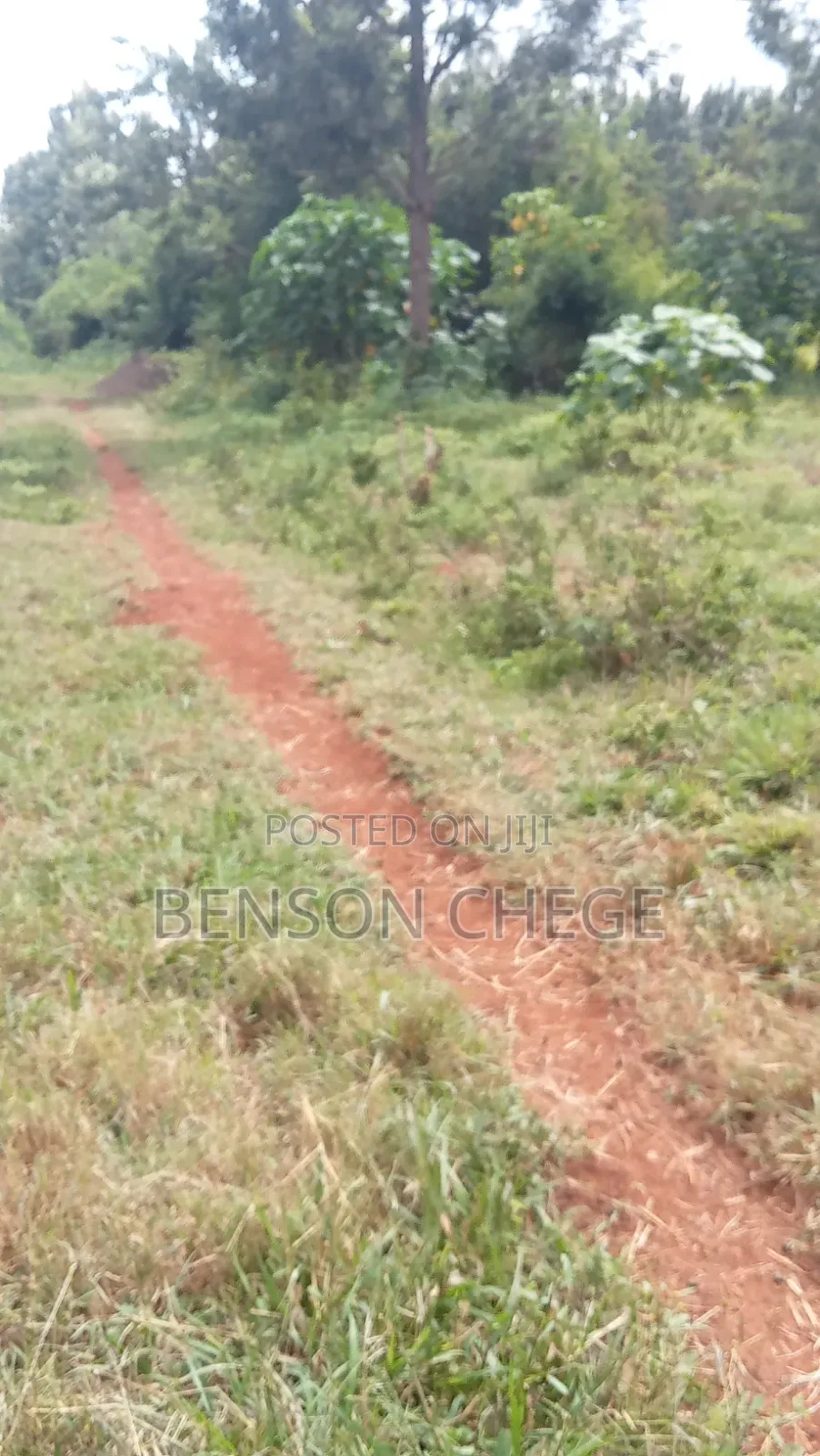 100by100plot for Sale at Kambirwa Murang'A
