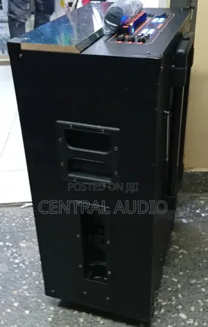 Euroken Loud 15inch Bluetooth Speaker