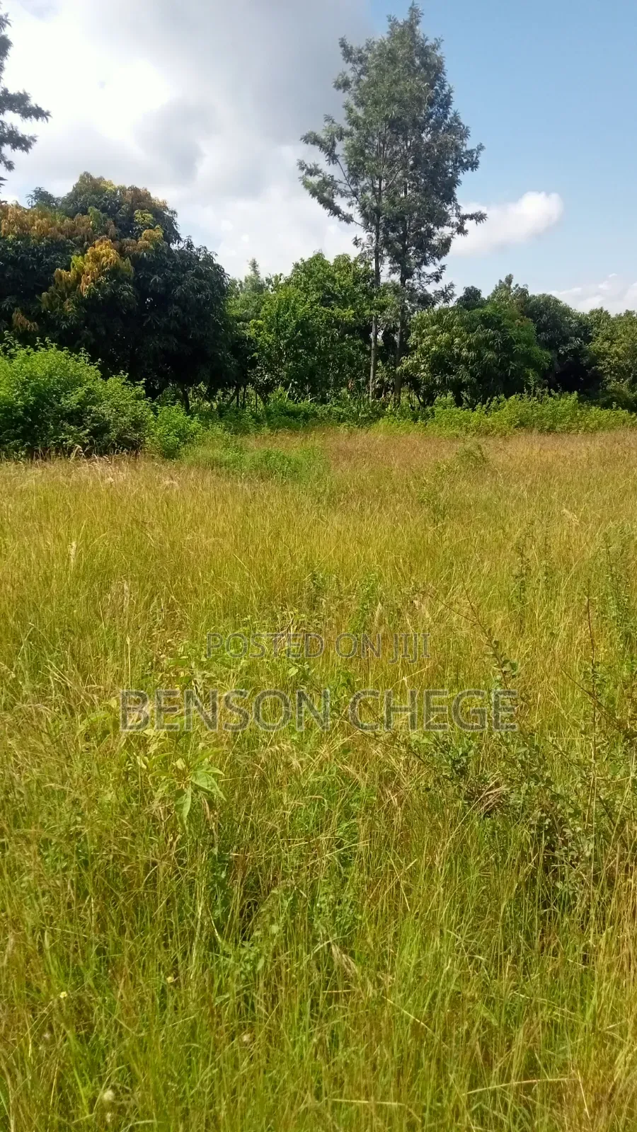3acreland for Sale at Kambirwa Murang'A