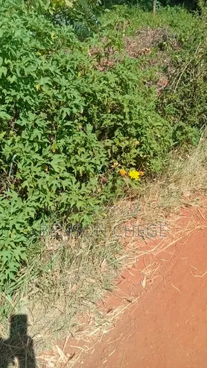 1.5acre Land in Mirira Murang'a County
