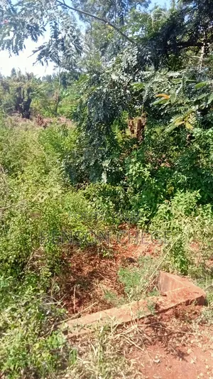 1.5acre Land in Mirira Murang'a County